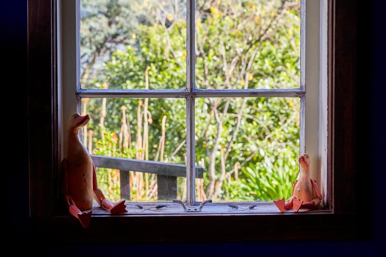 Cubby House Stay Kaikoura Buitenkant foto