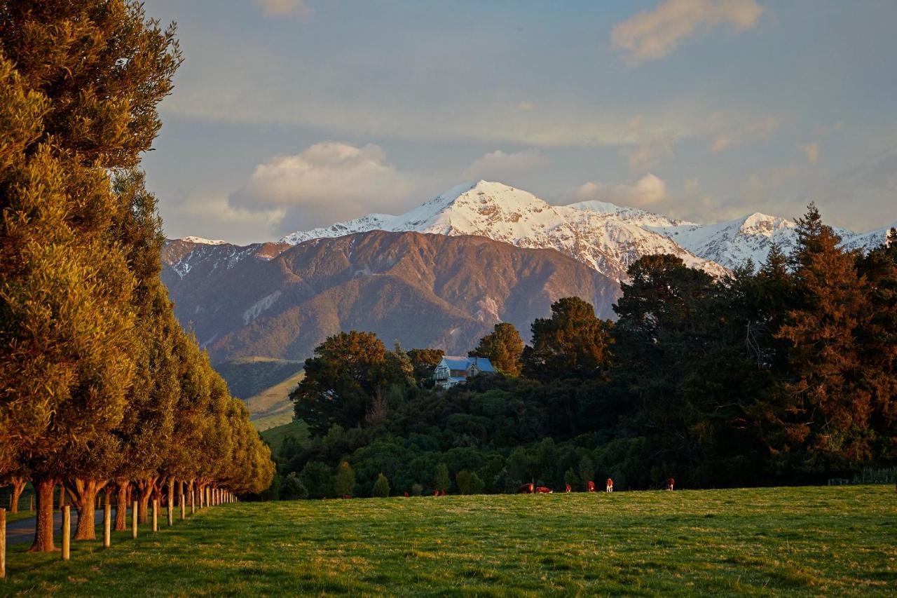 Cubby House Stay Kaikoura Buitenkant foto