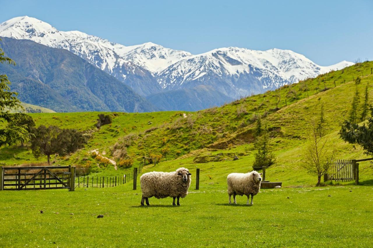 Cubby House Stay Kaikoura Buitenkant foto